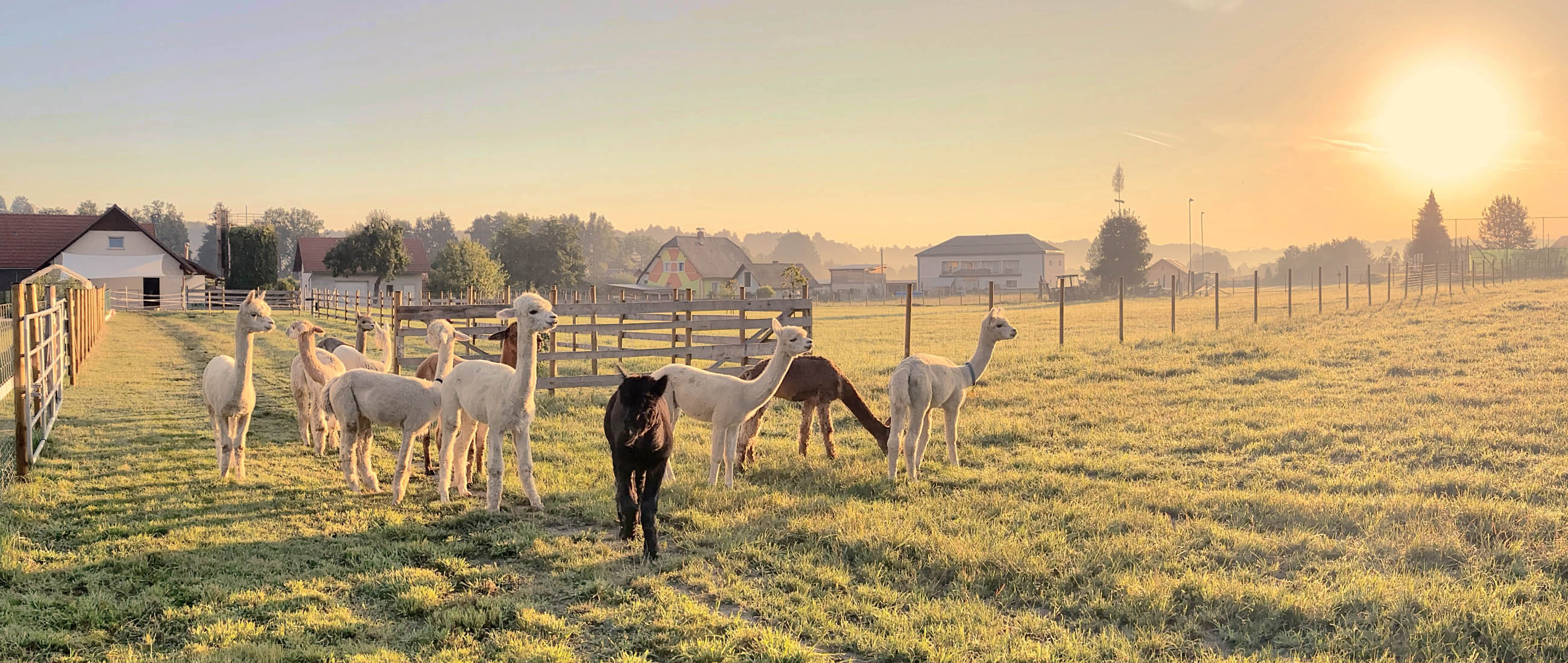 Slide #4 Slide background