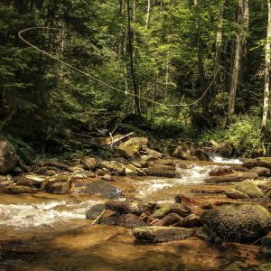 Fliegenfischen mit Wolfgang Heusserer